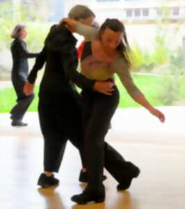 photo Stage danse et approche énergétique du mouvement