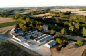 photo Châteaux en fête - Château de Panisseau visite du vignoble