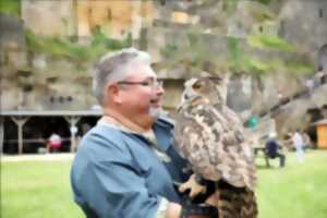photo Présentation de la fauconnerie, les us et coutumes - Châteaux en fête