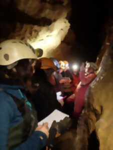 photo Le milieu souterrain : une nuit perpétuelle