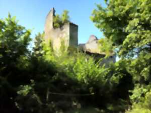 photo Visite du Château de Bruzac