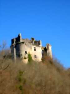 photo 18ème Festival médiéval de la Côle