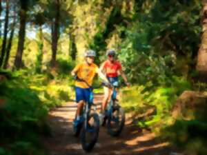 photo Balade trottinette tout terrain électrique