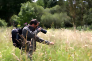photo Réserve Naturelle Régionale du Plateau des Landes - Rallye photos