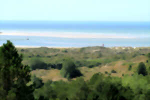 photo Réserve Naturelle Nationale de la Baie de Canche - De la dune boisée à l'estuaire