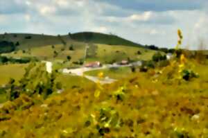 photo Opération montagne propre