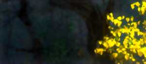 photo Exposition - Patrick Kuhn Le réel etcetera