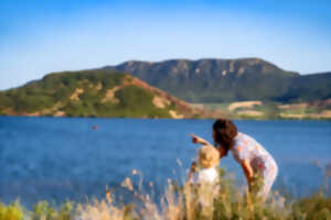 photo BALADE ORNITHOLOGIQUE