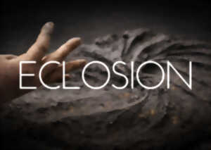photo Éclosion