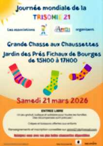 photo Grande Chasse aux Chaussettes