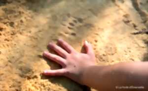 photo Découverte du pistage animalier