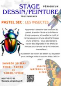 photo Stage dessin-peinture : Pastel sec - Les insectes