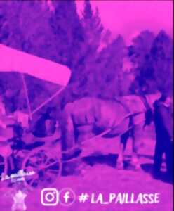 photo COLO ÉTÉ À LA FERME