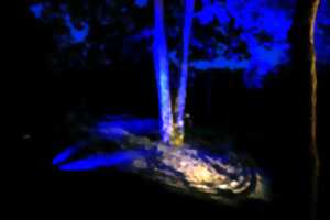 photo La Forêt vous murmure