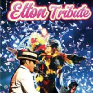 photo The Elton Tribute - Elton John Experience