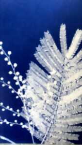 photo Atelier cyanotypes enfant