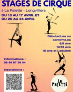 photo 2e Stage de Cirque à la Palette