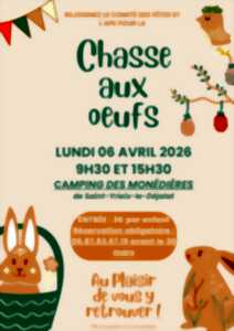 photo Chasse aux œufs