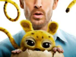 photo Projection Château-Salins - Marsupilami