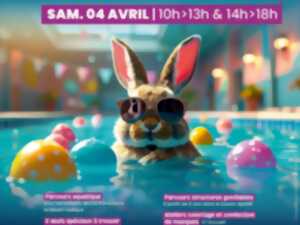 photo Chasse au œufs