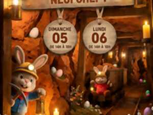 photo La chasse aux lapins