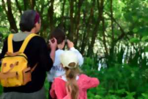 photo Photographier la faune avec éthique