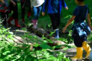 photo Photographier la petite faune de la mare