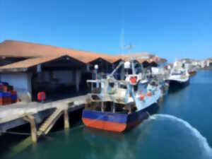 photo Visite Pays d’art et d’histoire : 