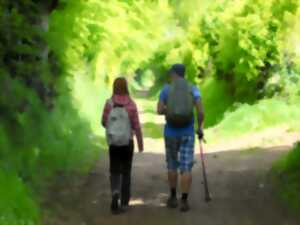 photo Randonnée sorcellerie à La Ferrière-Harang