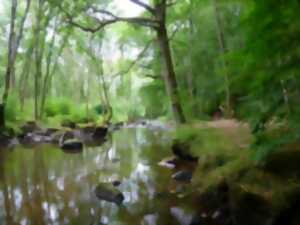 photo Journée randonnée à Saint-Ouen des Besaces