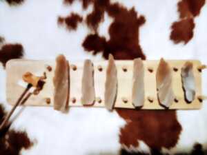 photo Atelier Aqua Zik