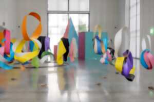 photo Spectacle « habiter chez soi » · cie noMORPa