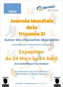 photo Exposition des écoles de Nérac et Espiens sur le thème de la Trisomie 21