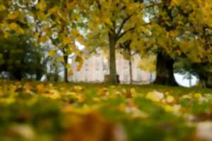 photo Visite guidée du château de Carneville