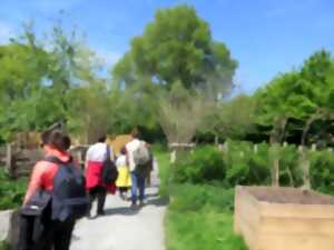 photo Sortie nature adaptée en famille