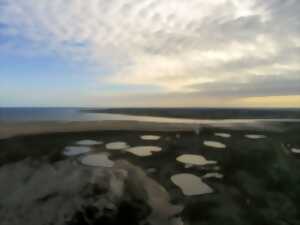 photo Croquis de terrain en baie des Veys