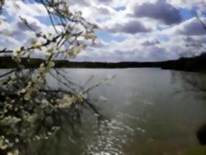 photo NATUR'OLAC DE LA THÉSAUQUE