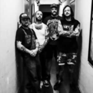 photo Cancer Bats