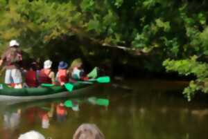 photo Descente de la Leyre en canoë collectif entre Salles et Mios
