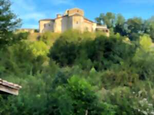 photo Découverte des zones humides