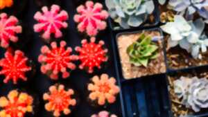 photo Troc autour du jardin, semis et plantes