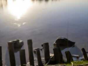 photo Découverte de la biodiversité des bords de Garonne