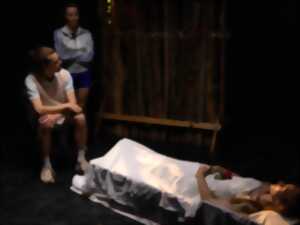 photo Scènes d'été spectacle : La Fée du bois dormant