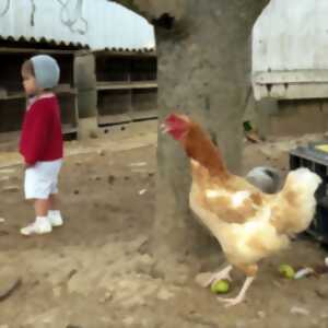 photo Rencontre-projection par le photographe Philippe Bazin à Bibracte