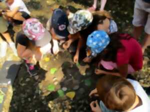 photo Art thérapie & Nature propose : Les Ateliers du lien