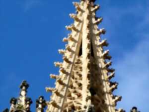 photo Journées du patrimoine : montée au clocher de la Collégiale Saint-Thiébaut