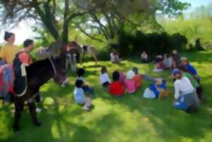 photo Balade contée au pas de l'âne