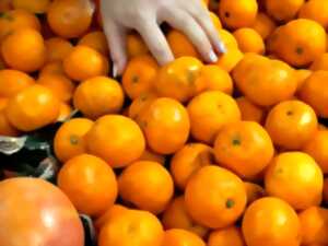 photo Expoxition photos - Couleur