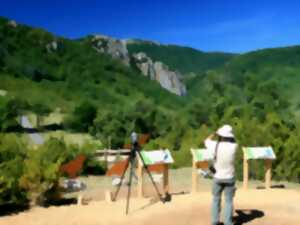 photo ARTISTES À SUIVRE 2026 - OBSERVATOIRE DES VAUTOURS