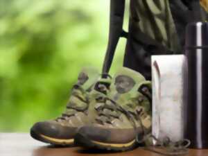 photo Sur les traces des mammifères semi-aquatiques